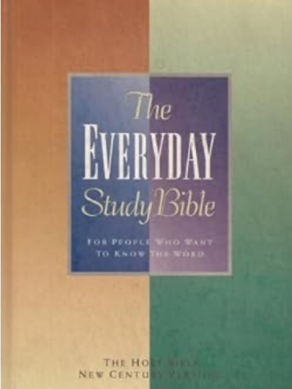 The Everyday Study Bible - Multicolor Hardcover